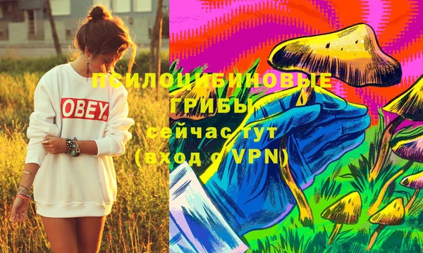 ПСИЛОЦИБИНОВЫЕ ГРИБЫ Краснослободск