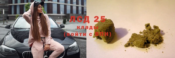 ПСИЛОЦИБИНОВЫЕ ГРИБЫ Краснослободск