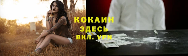 ПСИЛОЦИБИНОВЫЕ ГРИБЫ Краснослободск