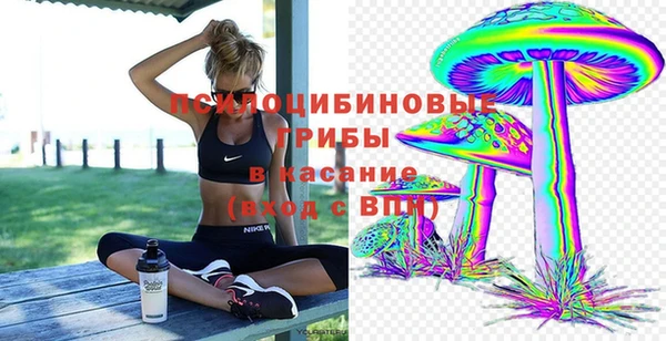 ПСИЛОЦИБИНОВЫЕ ГРИБЫ Краснослободск